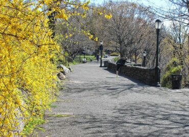 Fort Tryon Park