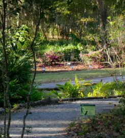 Jacksonville Arboretum & Gardens