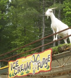 Goats On The Roof