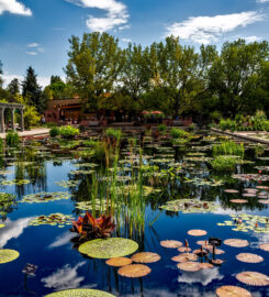 Denver Botanical Gardens