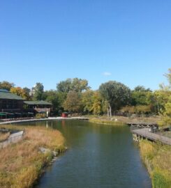 Nature Boardwalk at Lincoln Park Zoo