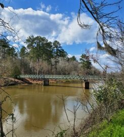 The Clearing Savannah Rapids